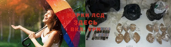 индика Абдулино
